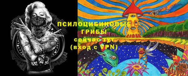 2c-b Арсеньев