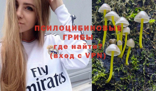 2c-b Арсеньев