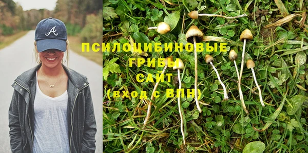 mdpv Аркадак