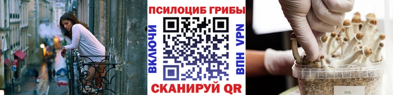 купить наркоту kraken зеркало Псилоцибиновые грибы ЛСД Усть-Катав